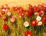 Poppies Make Me Happy by Shirley Novak